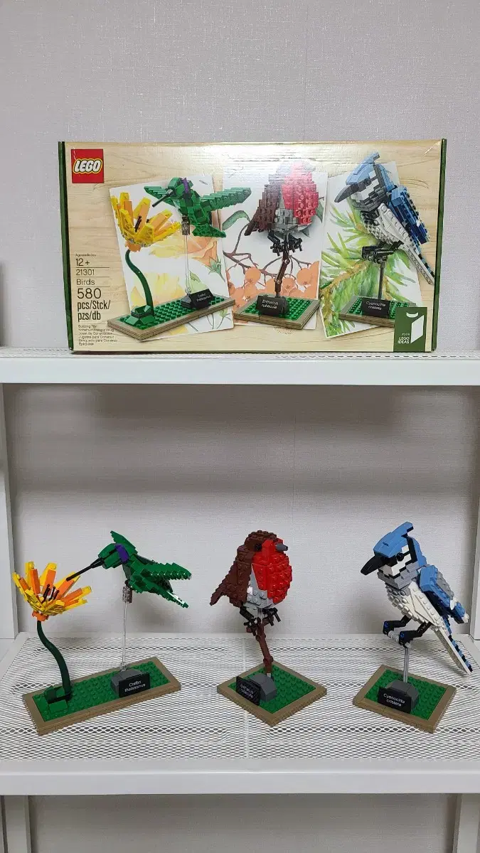 레고 21301 새 Birds